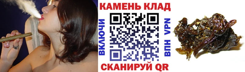 Купить где  Сольцы  Гашиш VHQ 