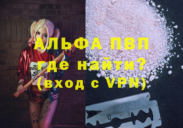дмт Ростов