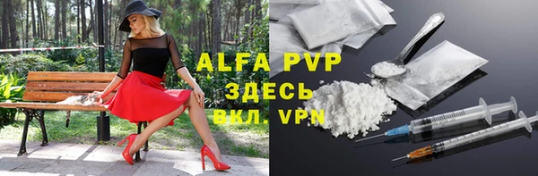 дмт Ростов