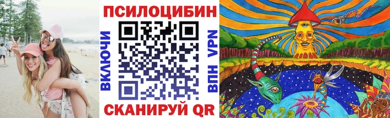 Купить закладки  Сольцы  Псилоцибиновые грибы Psilocybine cubensis 